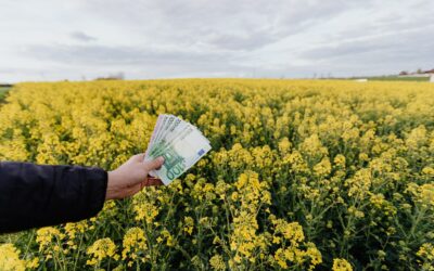 Quel est le prix d’une installation photovoltaïque ?